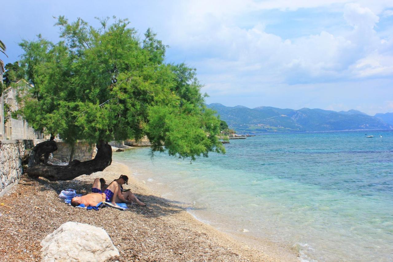 Apartments By The Sea Orebic, Peljesac - 4496 ภายนอก รูปภาพ