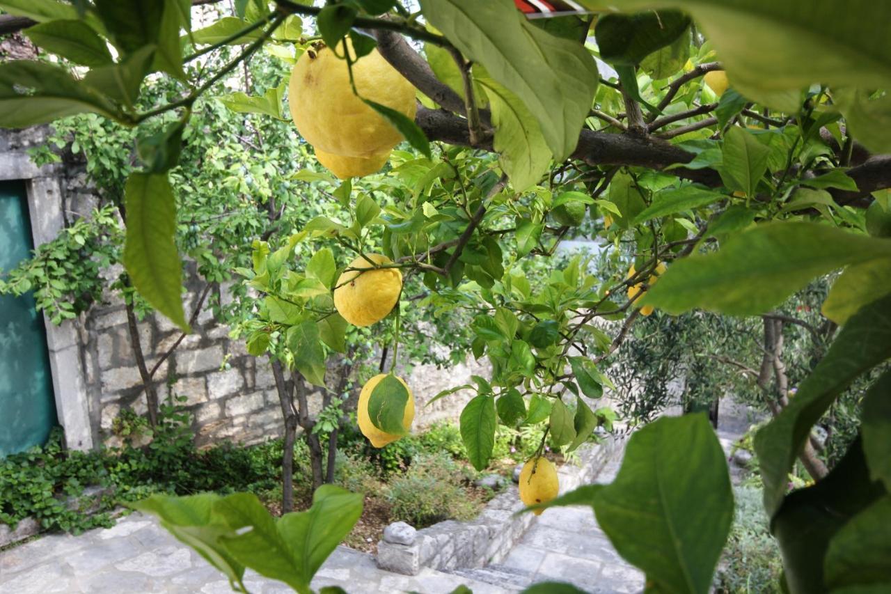 Apartments By The Sea Orebic, Peljesac - 4496 ภายนอก รูปภาพ